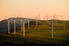 Wind Farm. Credit: Rok Solid