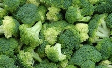 Broccoli growers hit by costs