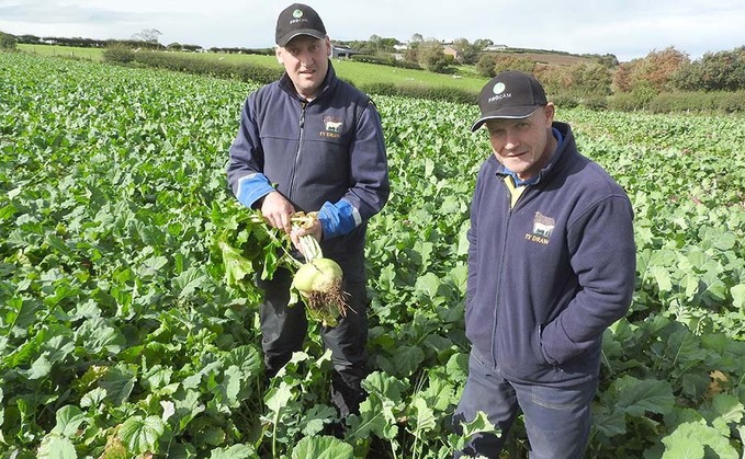 Forage focus key to business transformation
