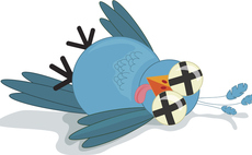Twitter verliert in B2B-Kommunikation massiv an Akzeptanz bei deutschen Firmen