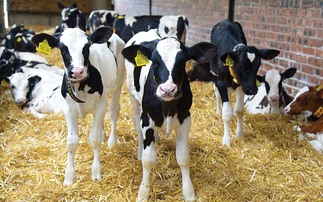 Defra power outage means farmers cannot register cattle on BCMS 