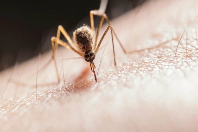 Delhi witnesses huge surge in dengue cases, experts suggest early prevention