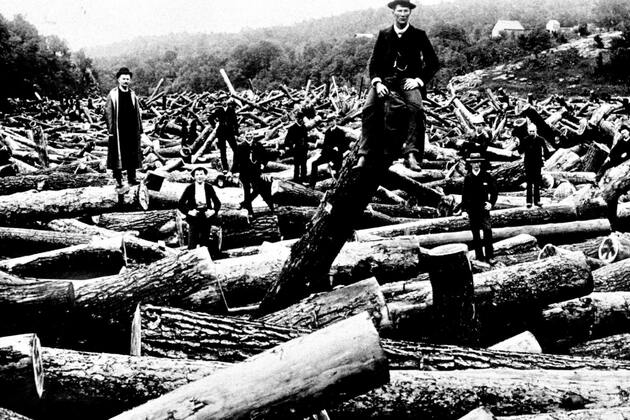 Brown- Why have regulations when you can have safety shanties&quest;