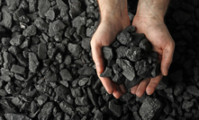 Hands holding coal