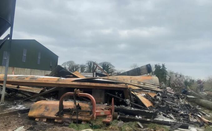 Northern Ireland Fire and Rescue Service said over 1,000 pigs had been killed during the fire