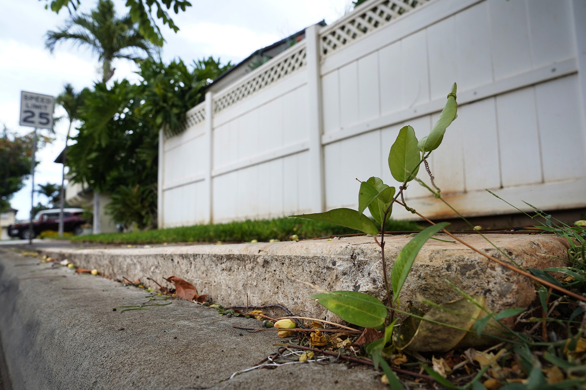 Fix It! Expired Contract Stalls Sidewalk Repairs At Villages of Kapolei&nbsp; - Honolulu Civil Beat