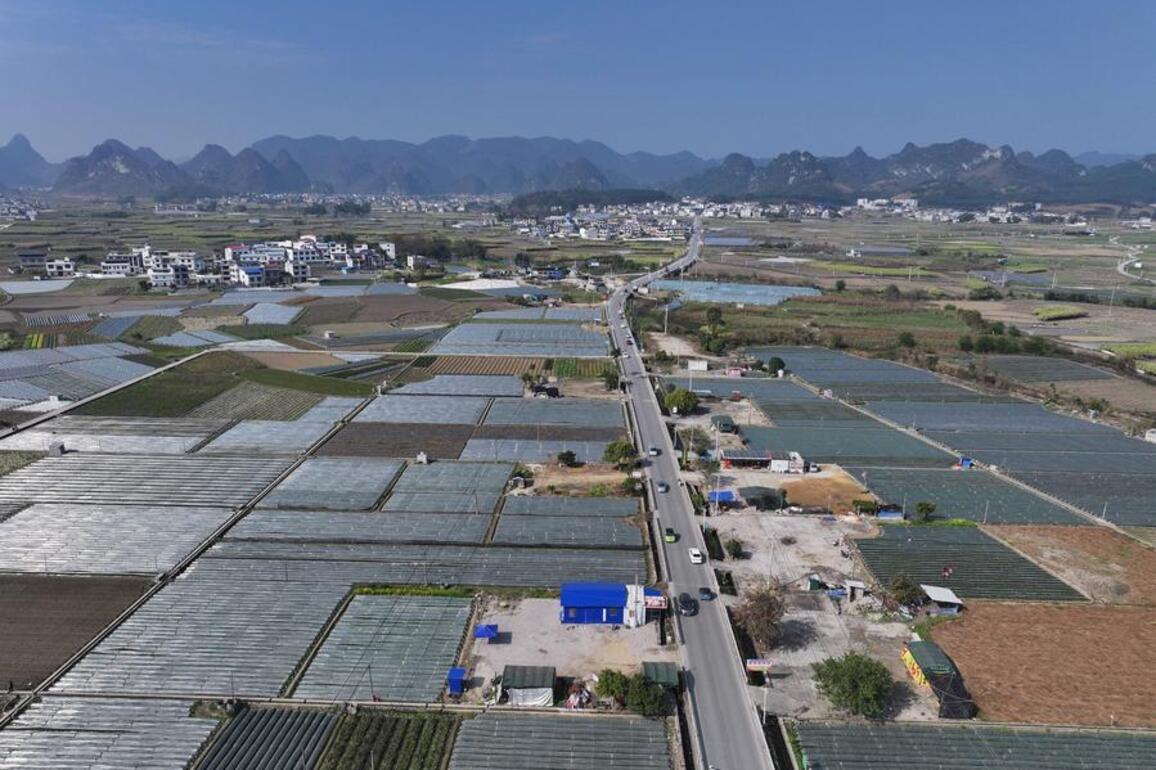 How China is propelling agricultural modernization, rural revitalization