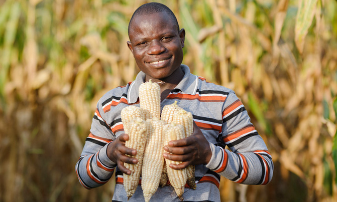 Global-woods supports sustainable farming Global-woods supports sustainable farming
