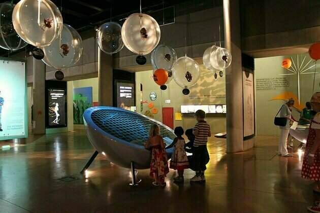 Fun with fossils: South African kids learn a whole lot more about human evolution from museum workshops