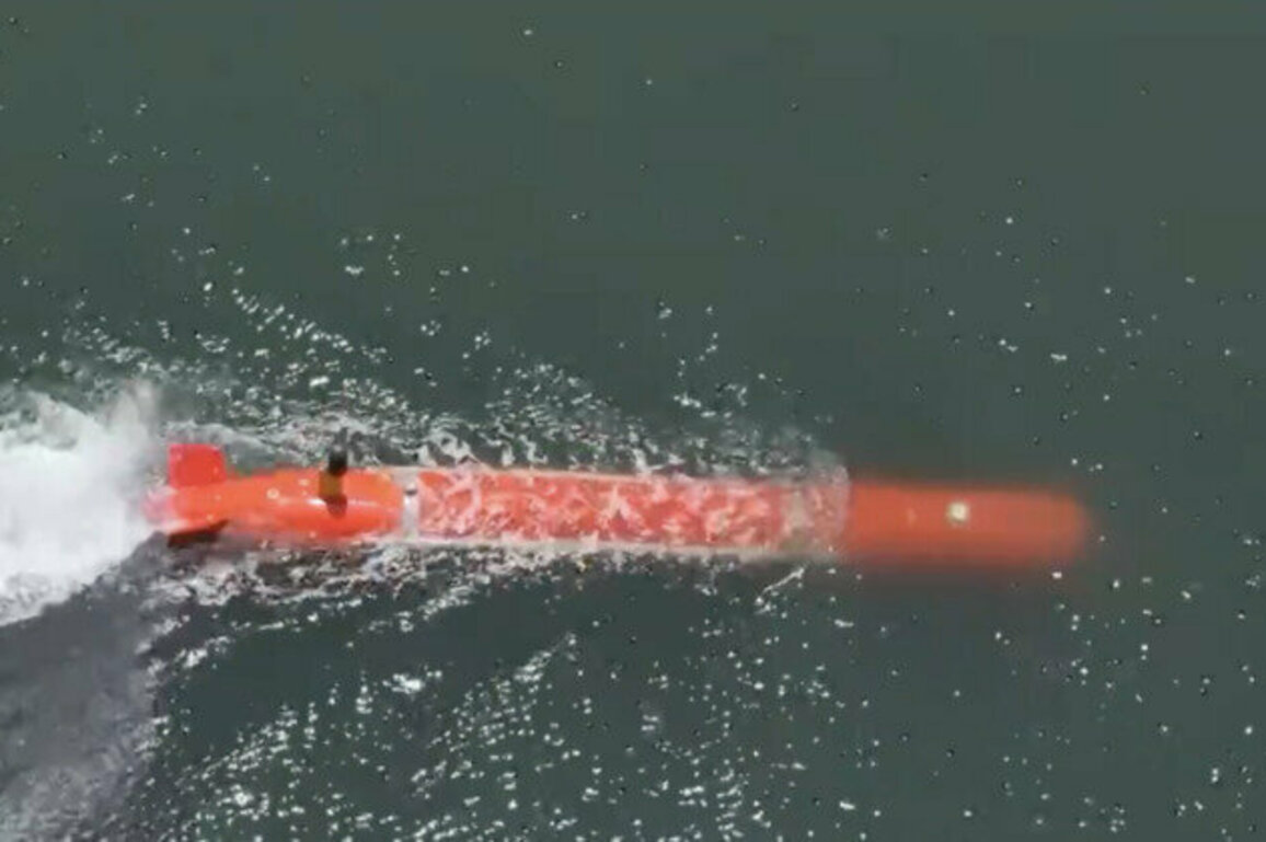 New Delhi tests its first underwater robot 