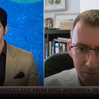 UAEs OPEC exit a natural move  top Russian expert