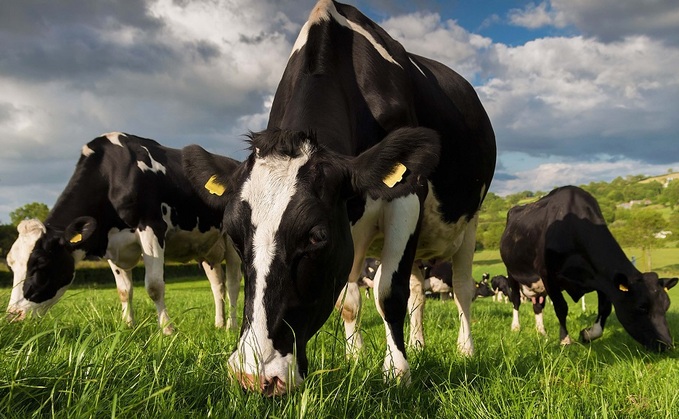UK methane emissions from enteric fermentation stands at 841 kilotons, say experts 