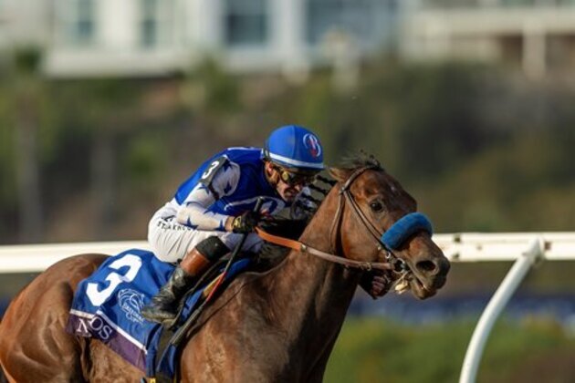 Nysos, Journalism Throwdown on Deck in Met Mile - BloodHorse