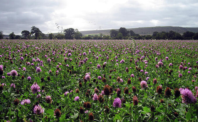 CPRE says upcoming Land Use Framework will not be a 'silver bullet'