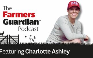 The  Guardian podcast: Cumbria farmer Charlotte Ashley on her transition from beef to dairy