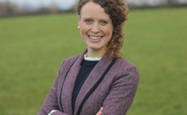 View from the Rostrum: "Breeding sheep vaccinated against BTV-3 have attracted a premium"