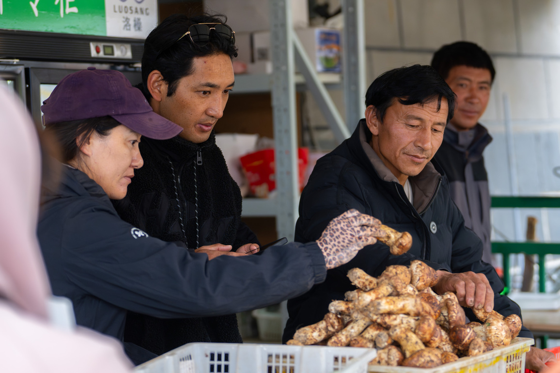 ChineseToday | Matsutake forager devoted to delivering nature's bounty at its finest