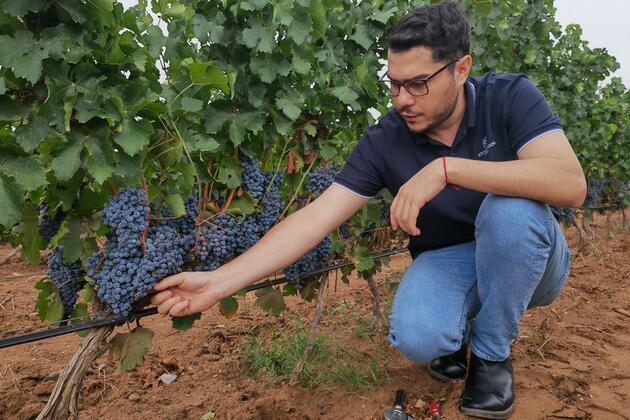Argentine winemaker finds his ideal blend in China