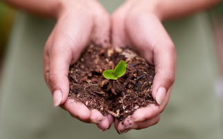  Study: Soil health is 'missing solution' in global climate efforts