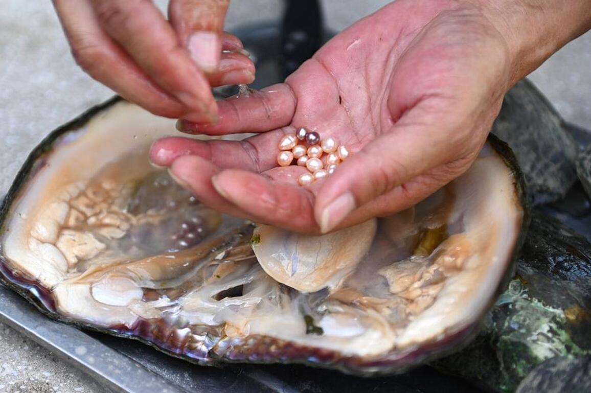 Pearls and socks: East China city's dual global triumphs
