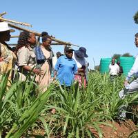 Xiplomacy: Xi's message to Zimbabwean veterans highlights enduring China-Africa friendship