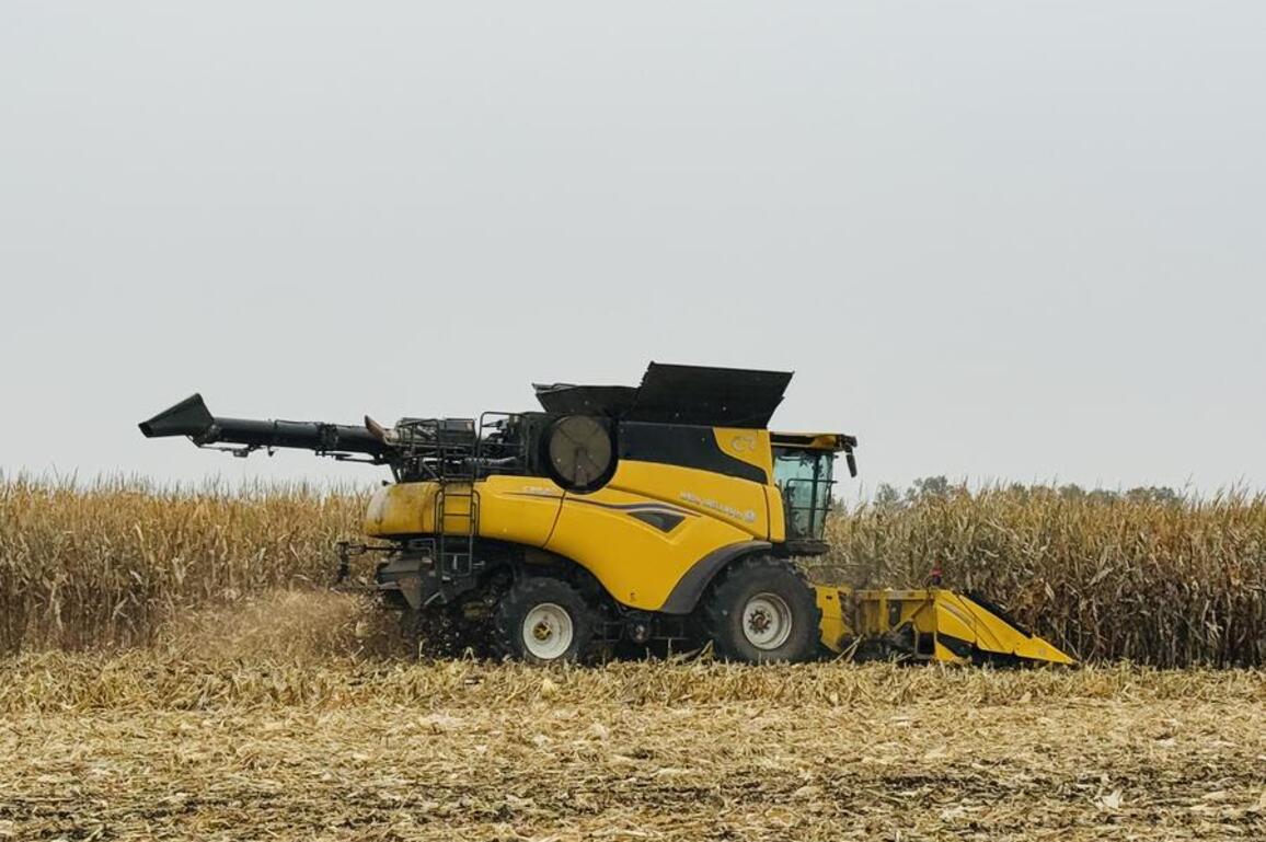 Global agribusiness giants optimistic about China's agricultural modernization