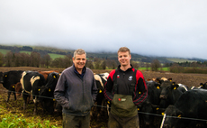 Small cows deliver punchy milk solids on grass-based dairy