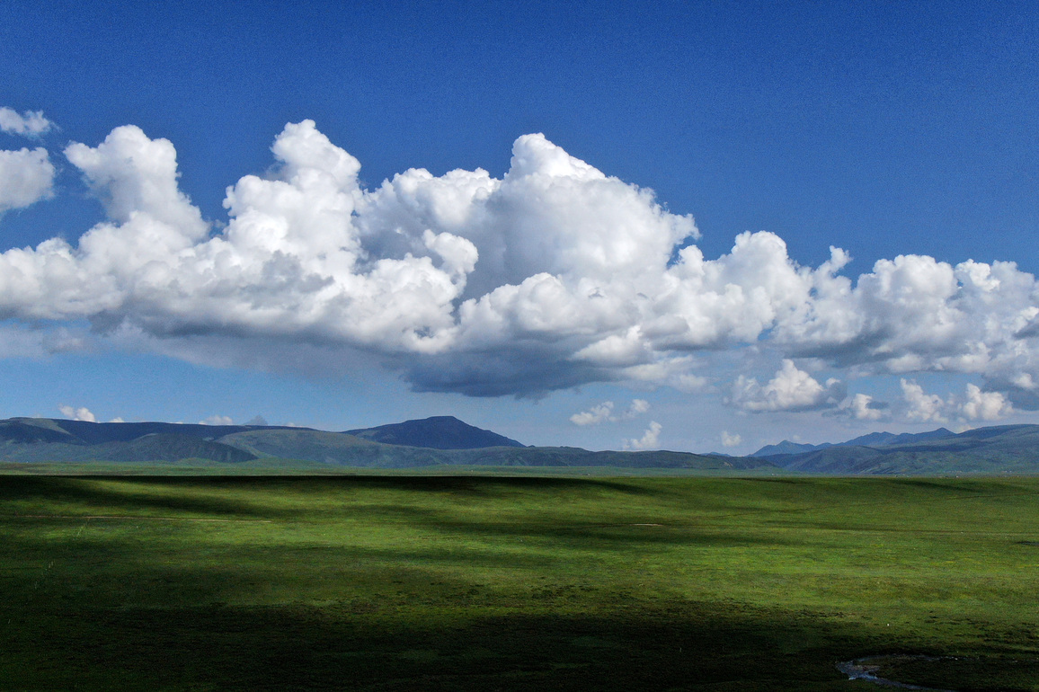 Study illuminates subsoil carbon pool changes on Qinghai-Tibet Plateau