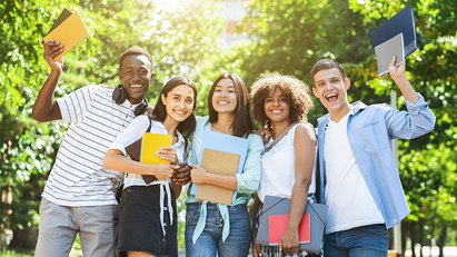 Government announces V-level qualification