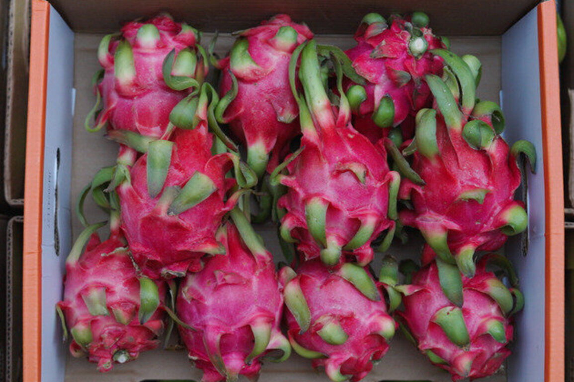 The Cross-border Railway Boosting Laos's Fruit Trade