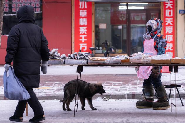 #CHINA-HEILONGJIANG-MORNING MARKET (CN)