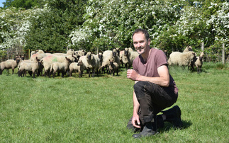 Centenary celebrations underway for Clun Forest breeders