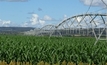 Study shows irrigated crop potential in Qld