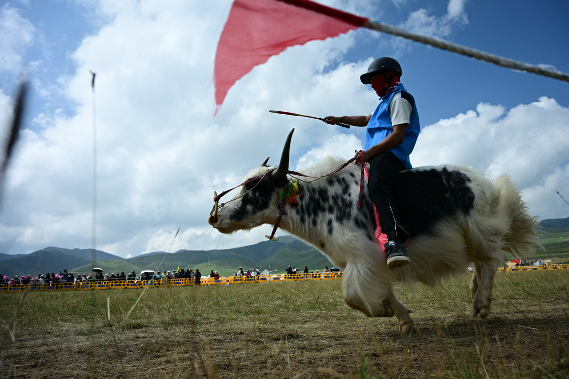 CHINA-QINGHAI-GONGHE-TIBETAN LAYI SONG COMPETITION-HORSE RACE (CN)