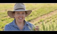  University of Sydney Agricultural Scientist, Dr Rebecca Thistlethwaite, is working to identify the most heat tolerant genes in wheat so they can be incorporated into new and existing lines. Photo courtesy GRDC.