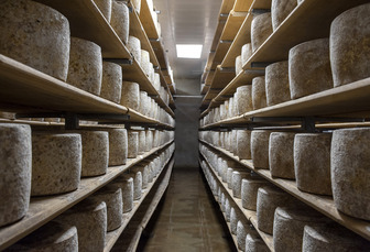 New £3.7bn Gulf deal set to bring food and farming boost