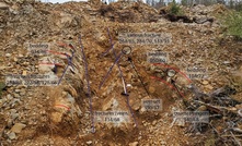  Trenched outcrop at the Deliverance area, Stony Lake. The main vein has up to 5-10 per cent sulphides and is comprised of crustiform to ginguro-style quartz veinsets wuth sulphides contained in the wall rock or bands