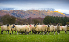 Attempts to revoke Lake District's World Heritage Site status a 'poorly misguided' attack on farmers