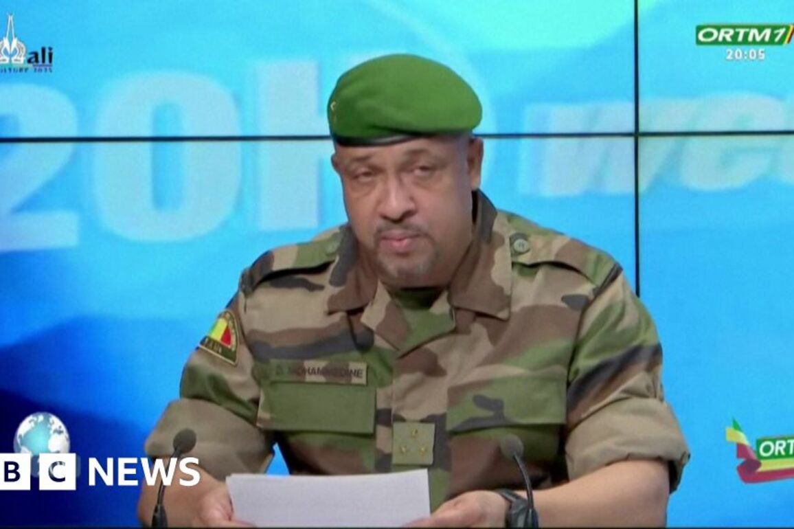 Algeria blocks flights from Mali after drone row