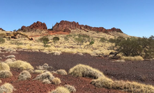  The Paulsens East hematite ridge with detritals in foreground