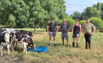 The roots of regenerative dairy success