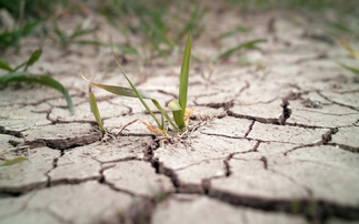 Drought in December serious cause for concern, says NFU
