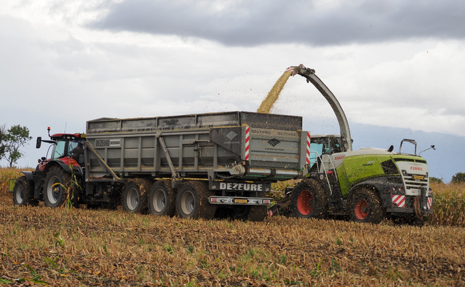 Dezeure Multitransmax Overload trailers provide silage logistics for AD producer