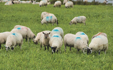 RPA to allow temporary derogation owing to dry conditions