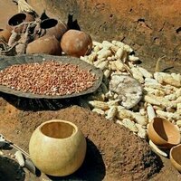 Les aliments fermentes d'Afrique, un patrimoine culinaire aux vertus insoupconnees