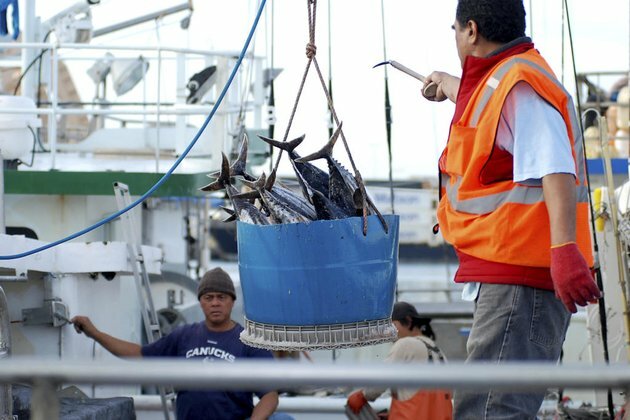 Hawaii Fishermen Concerned Over Growing Chinese Presence