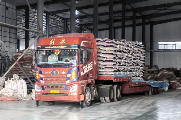CHINA-INNER MONGOLIA-SUNFLOWER SEEDS (CN)