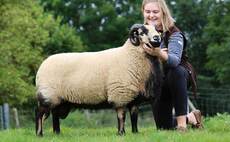 New Torddu record of 1,700gns set at Brecon