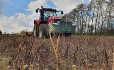 Optimising spring oat quality at drilling