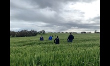 A field walk was part of a CTF workshop held in WA this week. Picture Macey Hill.